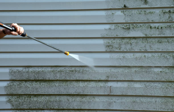 Best Local Mold Removal Service  in Leesville, LA