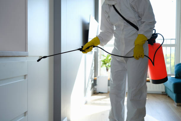  Leesville, LA Mold Removal Pros