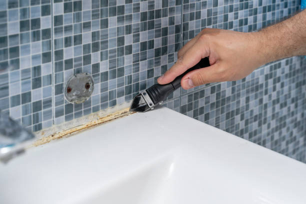 Best Certified Mold Removal  in Leesville, LA